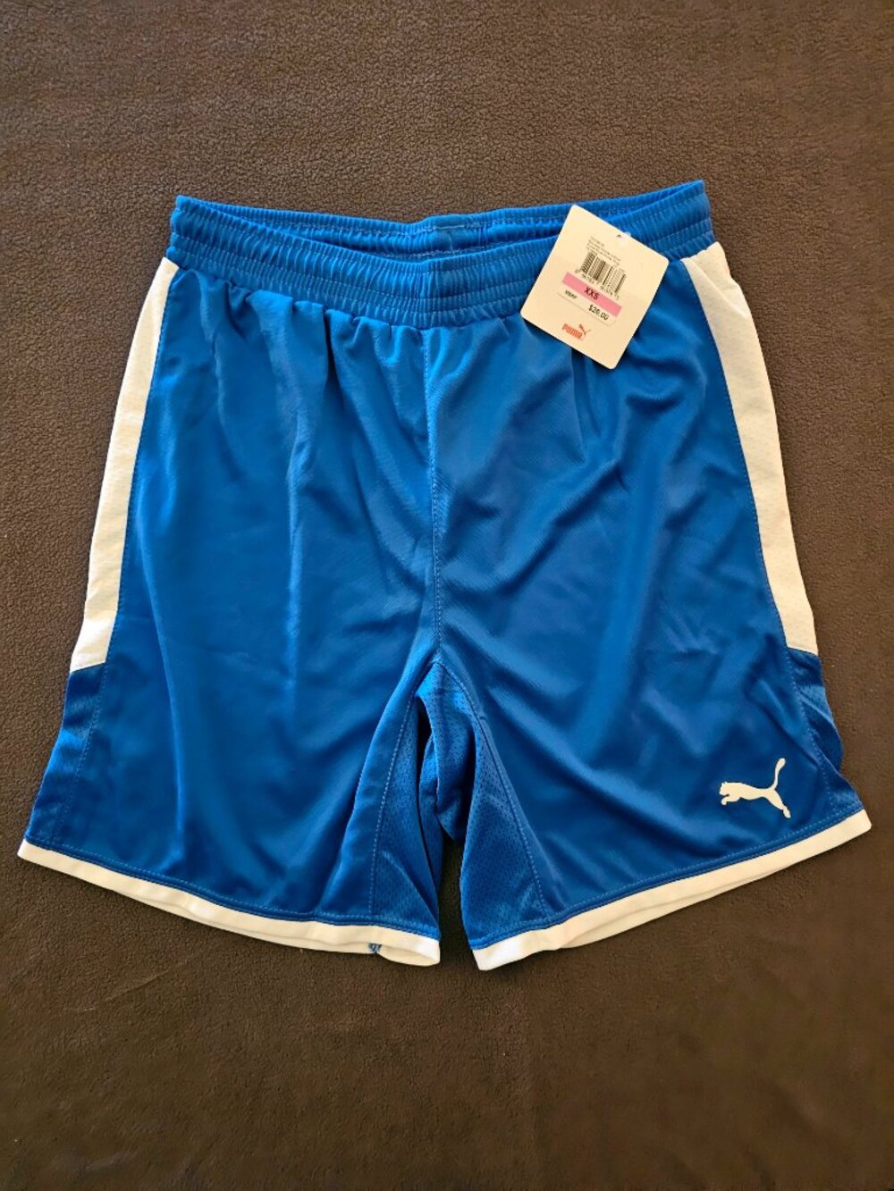 Puma Borussia Womens XXS Shorts Blue White dryCELL Soccer Athletic NWT 703195